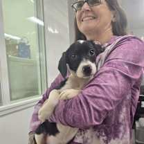 Thumbnail photo of Bonbon #2