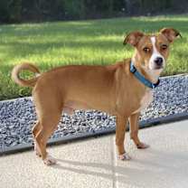 Thumbnail photo of Bentley #1