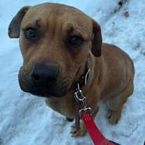 Thumbnail photo of Butter #2