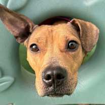 Thumbnail photo of Grace #3