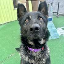 Thumbnail photo of Hans #2