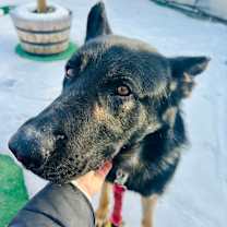 Thumbnail photo of Hans #4