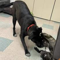 Thumbnail photo of Libby #4