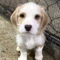 Thumbnail photo of Nick #1