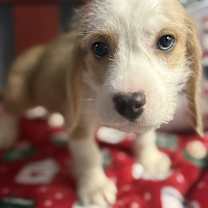 Thumbnail photo of Nick #2