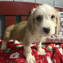 Thumbnail photo of Nick #3