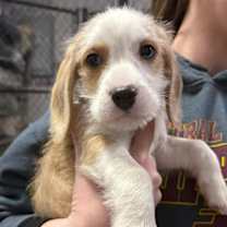 Thumbnail photo of Nick #4