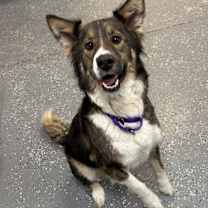 Thumbnail photo of Oakley #1