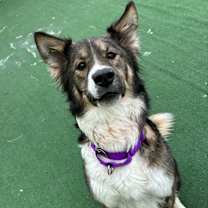 Thumbnail photo of Oakley #2