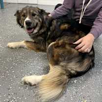 Thumbnail photo of Oakley #3