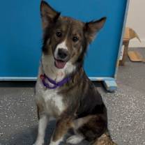 Thumbnail photo of Oakley #4