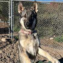 Thumbnail photo of Delta #1