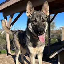 Thumbnail photo of Delta #2