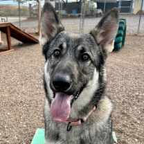 Thumbnail photo of Delta #3