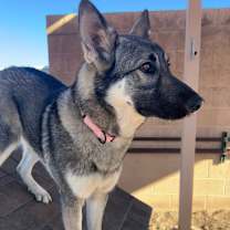 Thumbnail photo of Delta #4