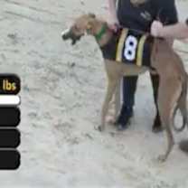 Thumbnail photo of RG McGibb (Gibby) #1