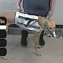 Thumbnail photo of RG McGibb (Gibby) #3