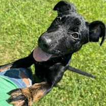 Thumbnail photo of Buckley #1