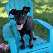 Thumbnail photo of Buckley #2