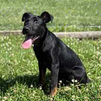 Thumbnail photo of Buckley #3