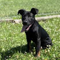 Thumbnail photo of Buckley #4