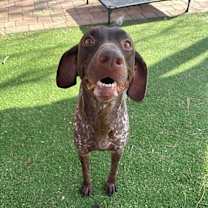 Thumbnail photo of Ellie #2