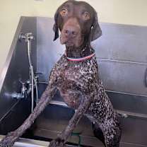 Thumbnail photo of Ellie #3