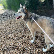 Thumbnail photo of MJ #3