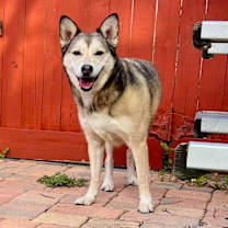 Thumbnail photo of MJ #4