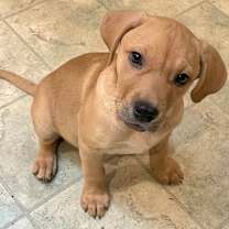 Thumbnail photo of Mia May #1