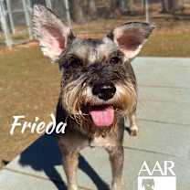 Thumbnail photo of Frieda #3
