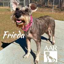 Thumbnail photo of Frieda #4