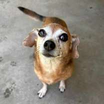 Thumbnail photo of Teenie #1