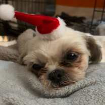 Thumbnail photo of Holly #1