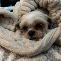 Thumbnail photo of Holly #2