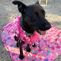 Thumbnail photo of Adelina #2