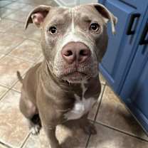 Thumbnail photo of Dax #1