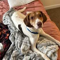 Thumbnail photo of Peanut #3