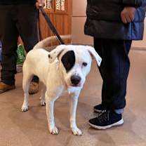 Thumbnail photo of Pete #4