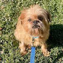 Thumbnail photo of Griffy Henson #1