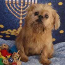 Thumbnail photo of Griffy Henson #2