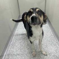 Thumbnail photo of Angel #3