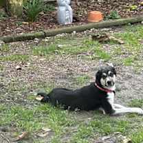 Thumbnail photo of Angel #4