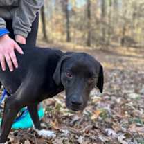 Thumbnail photo of Governor Dane #3