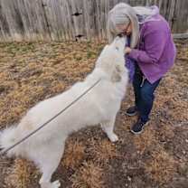 Thumbnail photo of Ranger #1