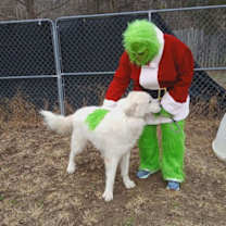 Thumbnail photo of Ranger #3