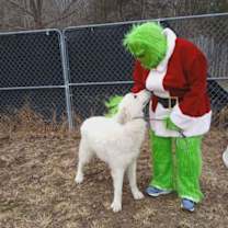 Thumbnail photo of Ranger #4