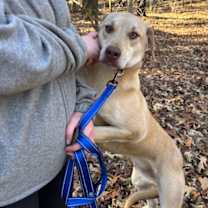 Thumbnail photo of Aspen #1