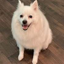 Thumbnail photo of Frosty #2