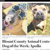 Thumbnail photo of Apollo #2